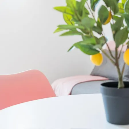 Guestready - Piedade فندق